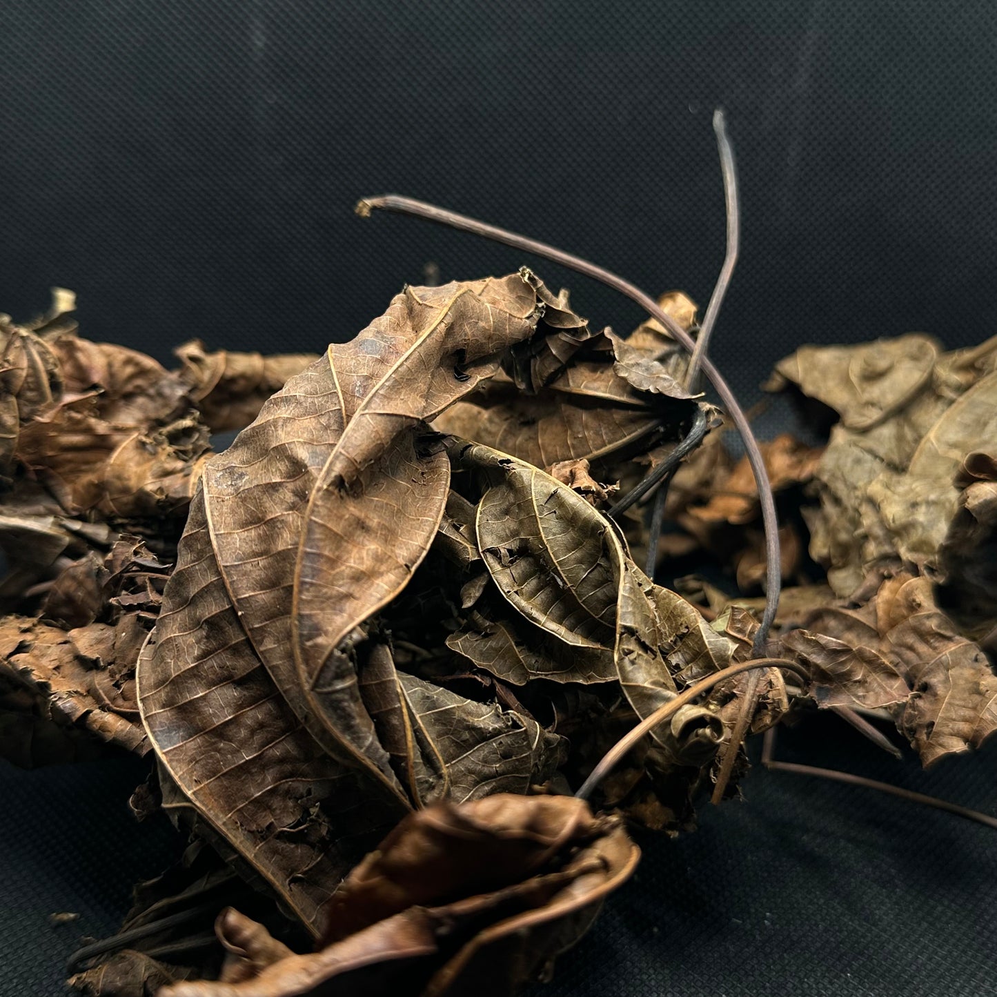 Hoja de djeka seca - 40g