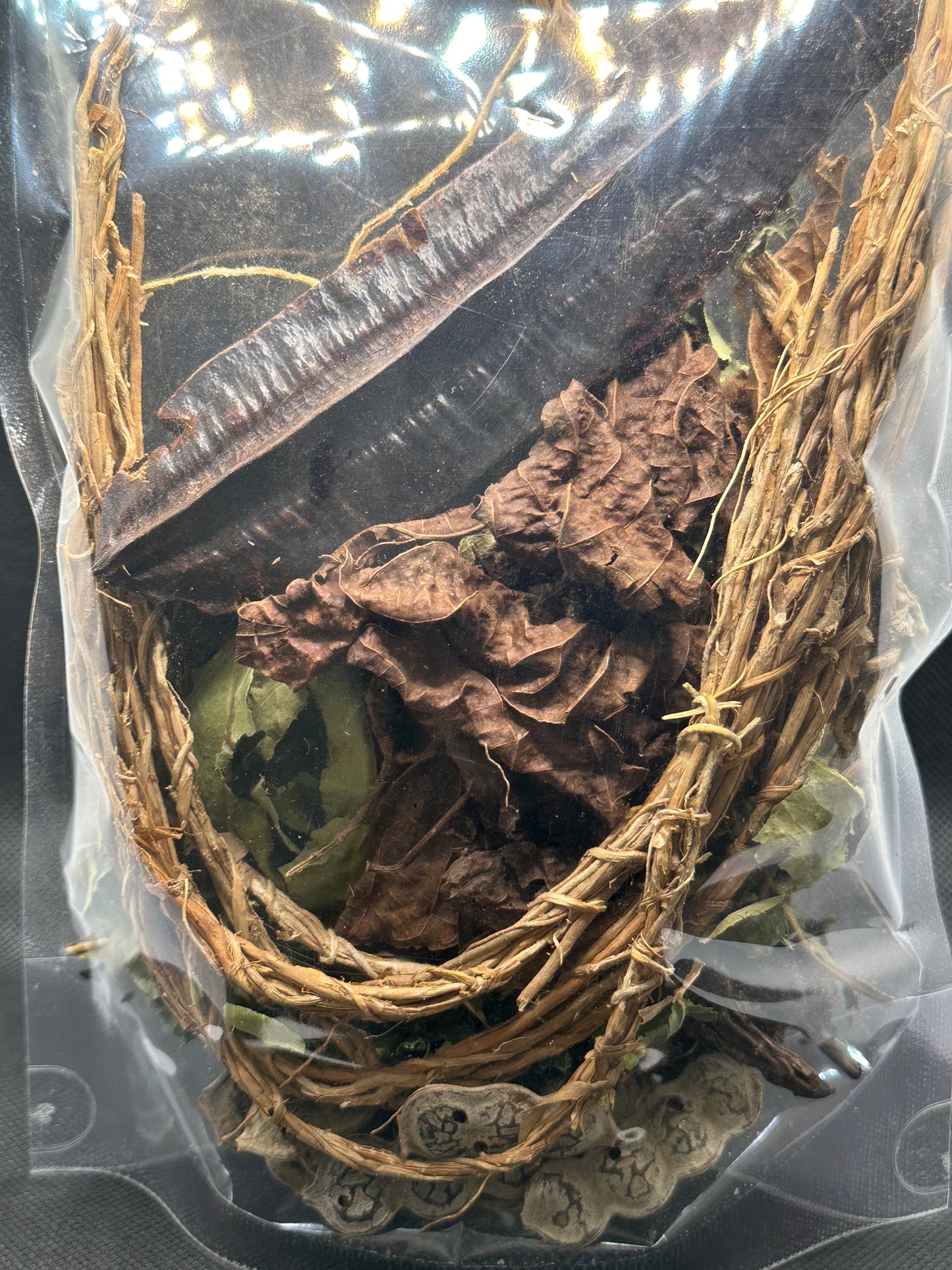 Mezcla de plantas africanas - Pack Fertilidad